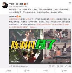 杨永杰爆料小刚视频,真相背后引人深思  第3张